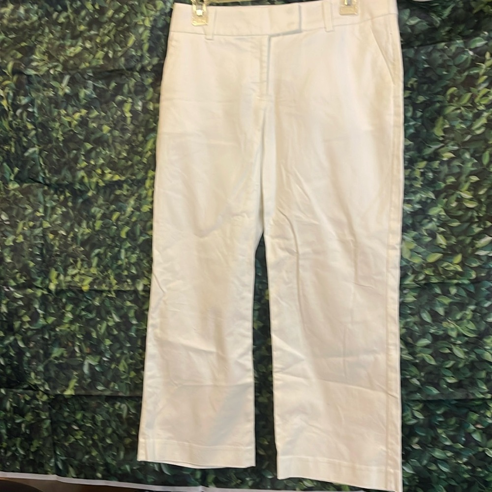 Express corespondent pants